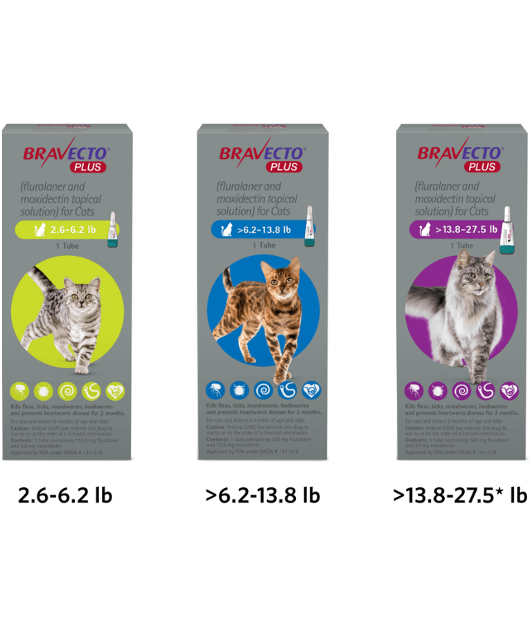 Bravecto Plus - Fluralaner & Moxidectin Spot-On Solution for Medium Cats, Tick, Flea & Worm Protection - 2.8–6.25 kg