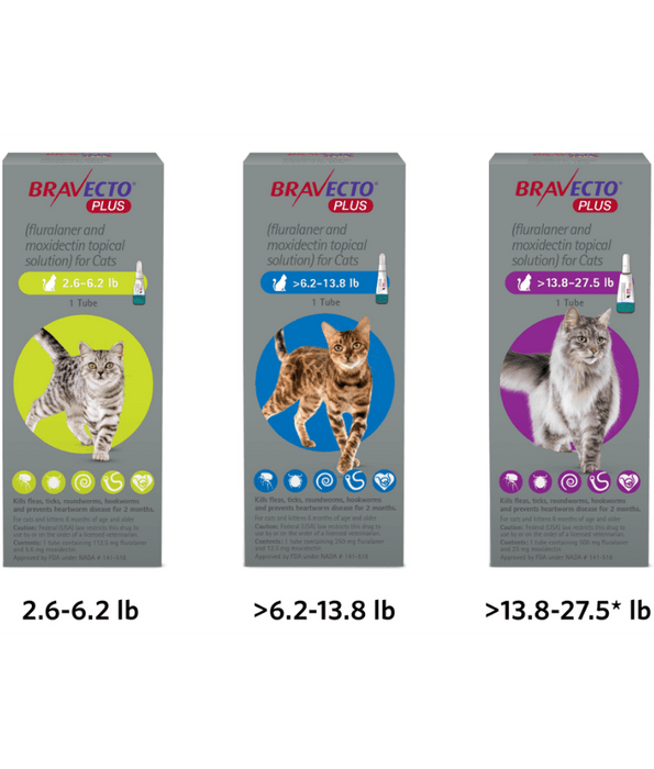 Bravecto Plus - Fluralaner & Moxidectin Spot-On Solution for Medium Cats, Tick, Flea & Worm Protection - 2.8–6.25 kg
