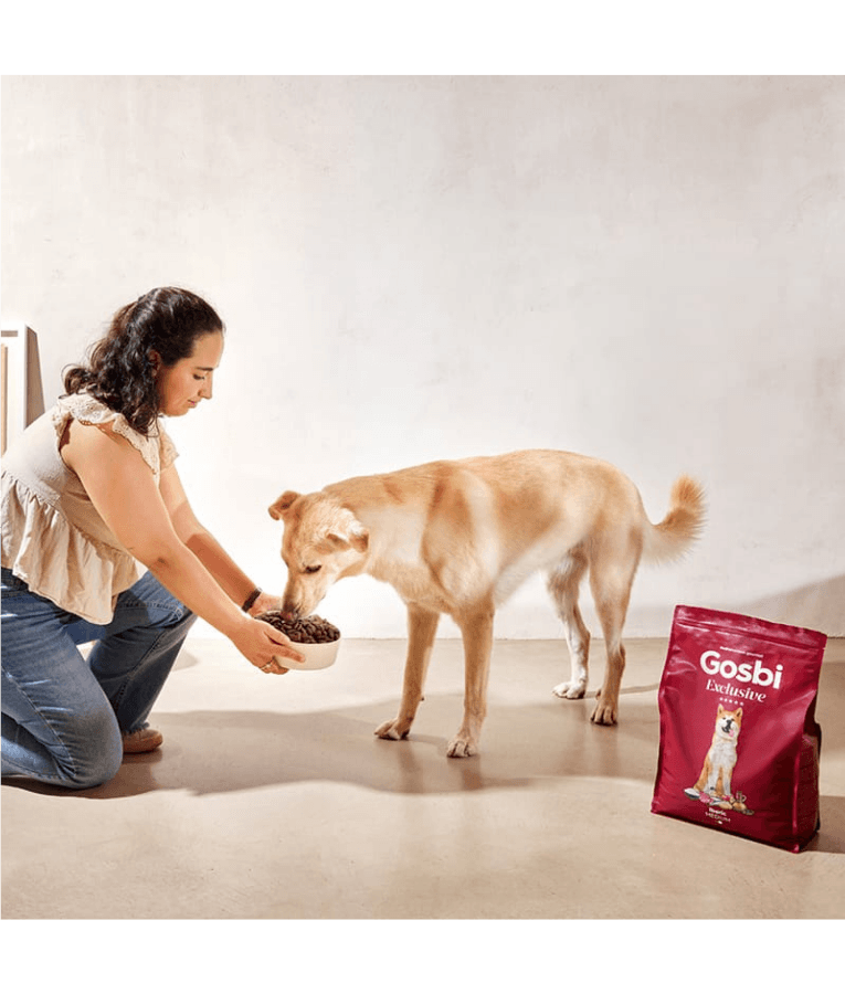 Gosbi - Exclusive, Iberic Pork, Adult Dry Dog Food For Medium Breeds - 3kg, 12kg