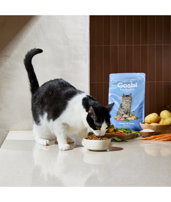 Gosbi - Exclusive, Chicken and Turkey Adult Dry Cat Food – Hair and Skin Support 1.5kg-6kg