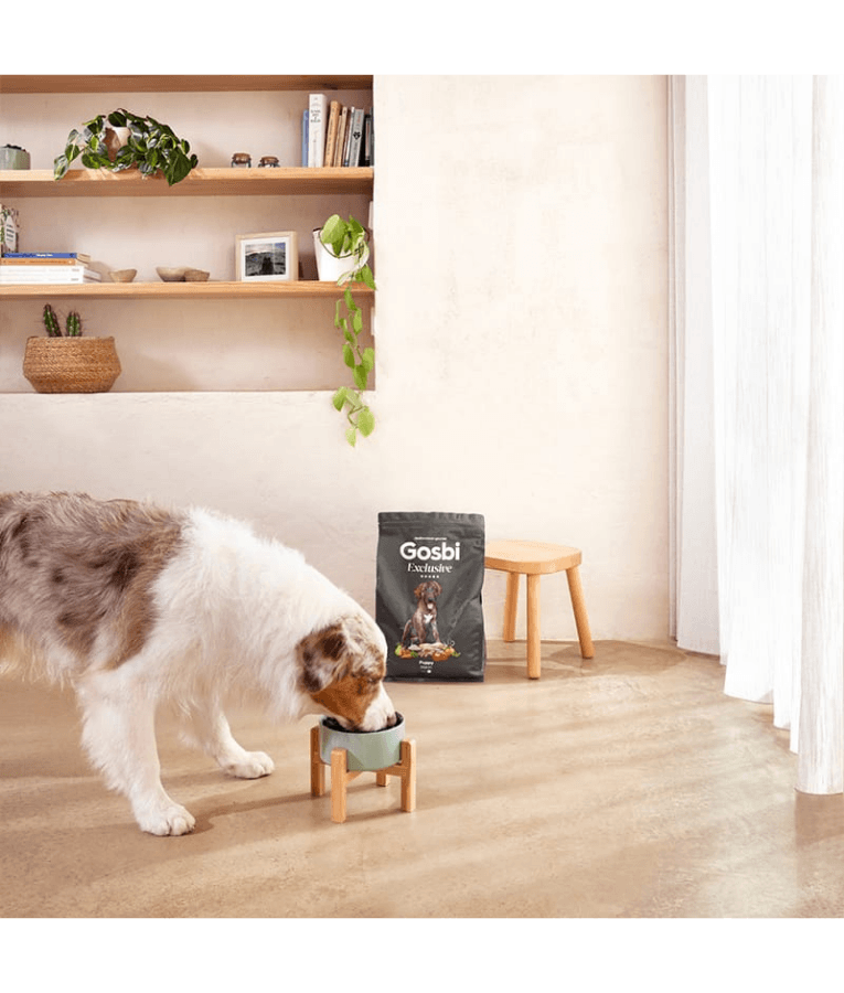 Gosbi - Exclusive, Hypoallergenic Chicken Puppy Dry Dog Food For Large Breeds 3kg-12kg