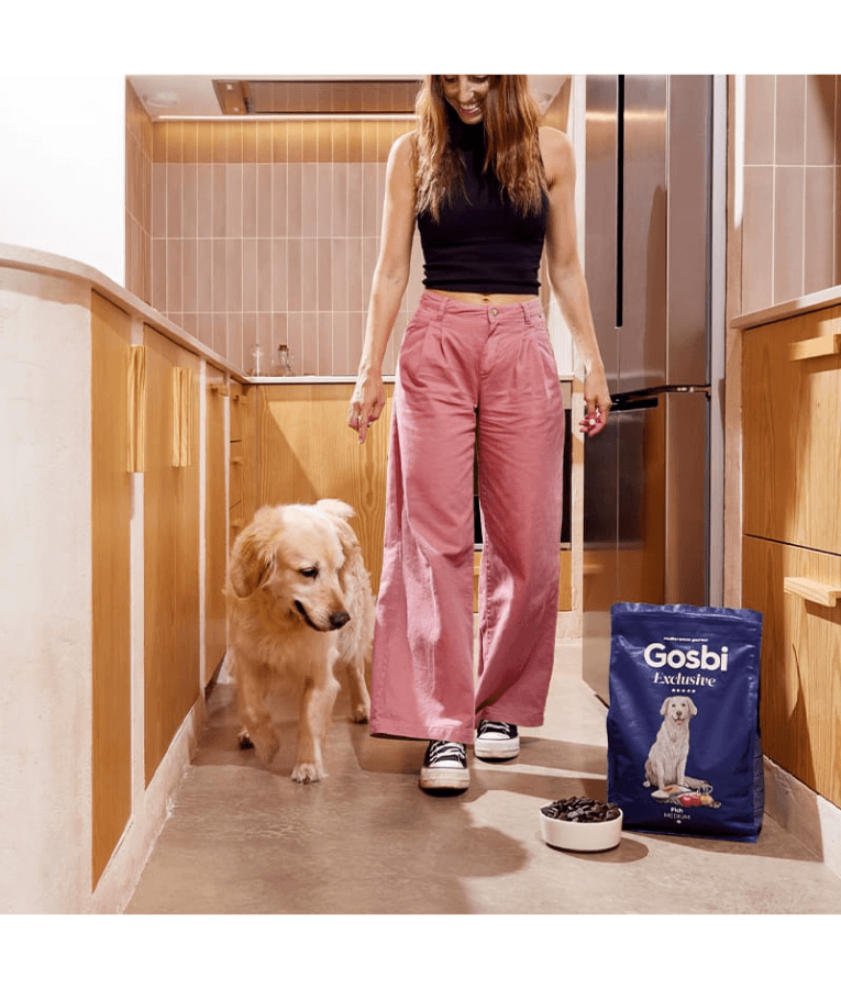 Gosbi - Exclusive, Hypoallergenic Fish Adult Dry Dog Food For Medium Breeds 3kg-12kg