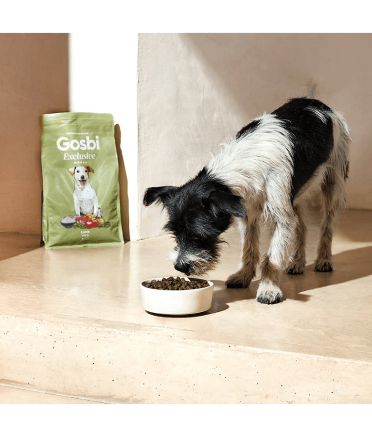 Gosbi - Exclusive, Hypoallergenic Lamb Adult Dry Dog Food For Mini and Small Breeds 2kg-7kg