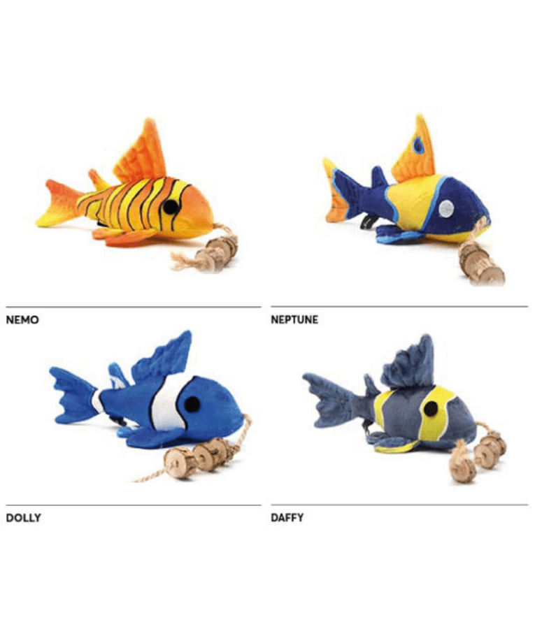 Pet Interest - 3D Tropical Fish Cat Toy with Silvervine, Plush Cat Toy - 22cm