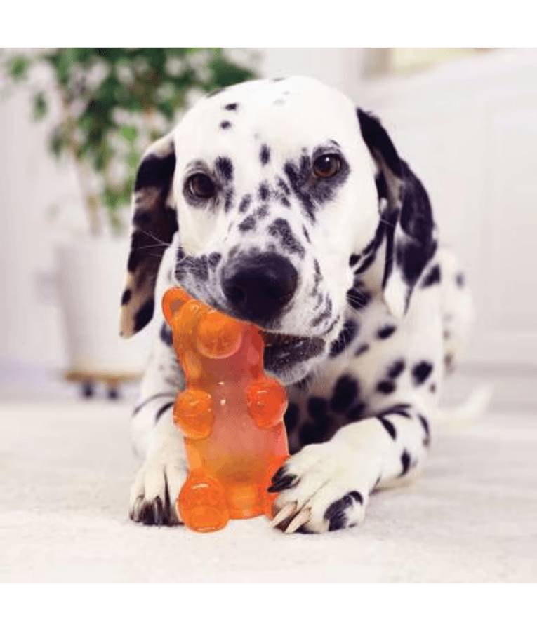 Spunky Pup - Gummy Bear Squeaky Toy, Non-Toxic Durable Rubber, Chew Toy for Dogs - Small