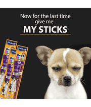 Cute dog asking for Vitakraft beef sticks, premium dog treats with high meat content, ideal for training.
