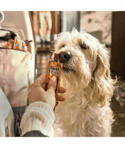 Dog eagerly anticipating a Vitakraft Beef Stick treat, showcasing premium dog treats for training and rewarding.