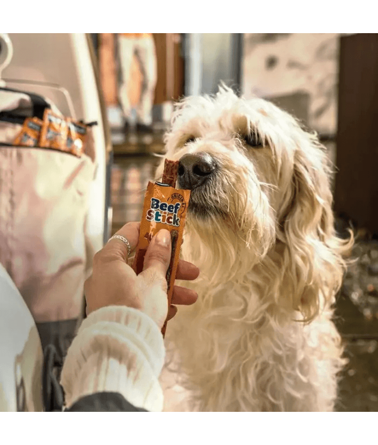 Dog eagerly anticipating a Vitakraft Beef Stick treat, showcasing premium dog treats for training and rewarding.