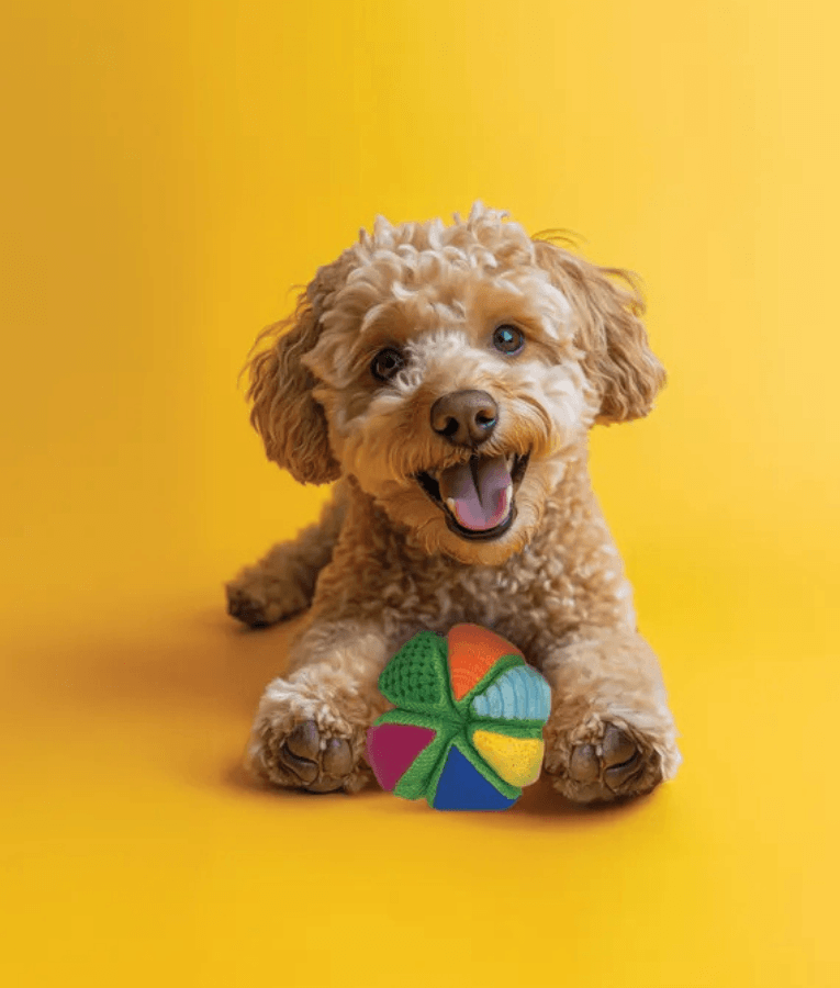 Spunky Pup - Wedge Stuffies Treat Dispensing Plush Toy, Fun Enrichment