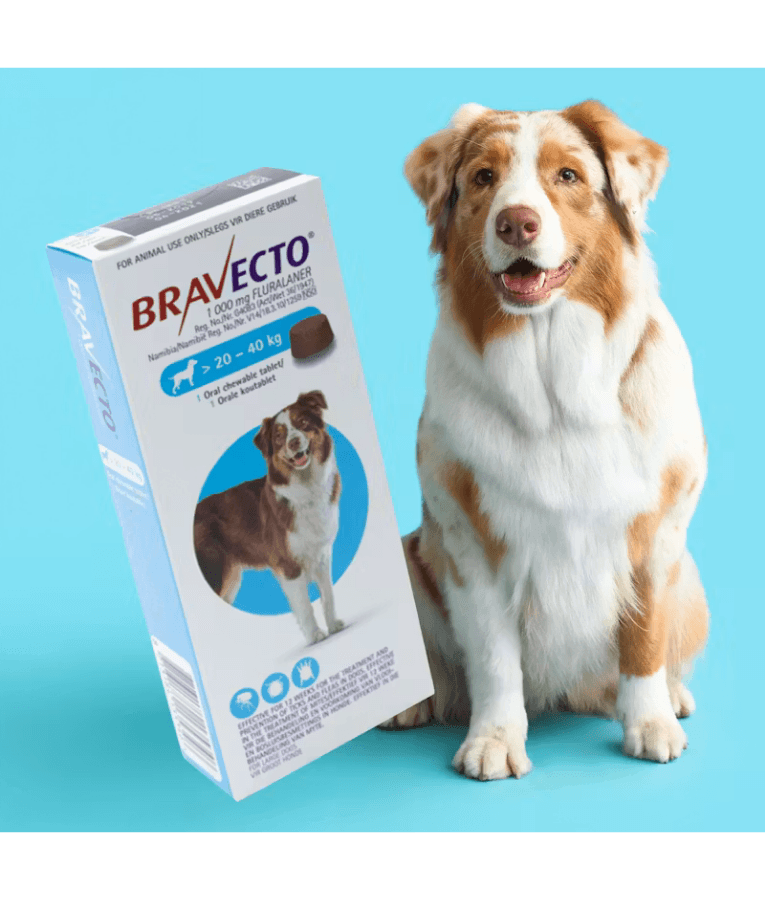 Bravecto 1000 mg Fluralaner, Tick & Flea Protection - 20-40 kg