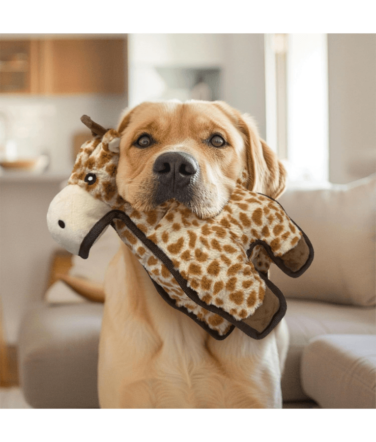 Spunky Pup - Tough Plush Giraffe Toy, Triple Stitch Durable Squeaky