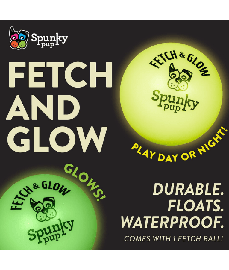 Spunky Pup - Fetch & Glow Balls, Glow-in-the-Dark Floating Fetch Toy, Assorted 2-Pack - Small