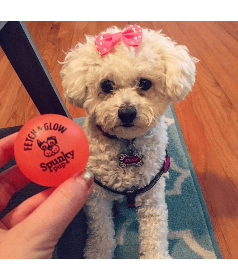 Spunky Pup - Fetch & Glow Balls, Glow-in-the-Dark Floating Fetch Toy, Assorted 2-Pack - Small