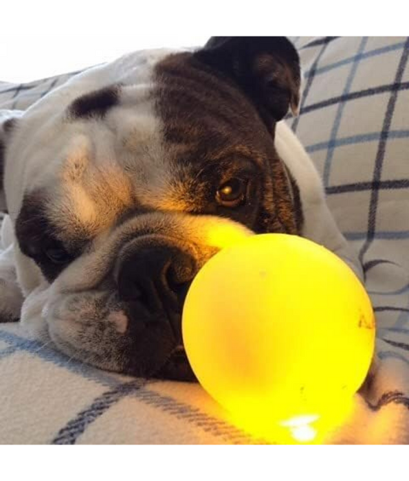 Spunky Pup - Fetch & Glow Ball, Glow In The Dark Floating Fetch Toy, Durable Non Toxic Design - Medium