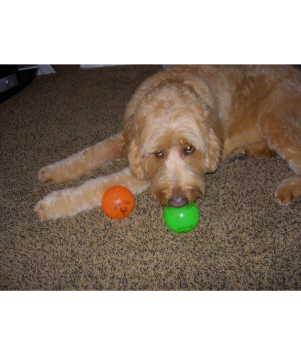 Spunky Pup - Fetch & Glow Ball, Glow In The Dark Floating Fetch Toy, Durable Non Toxic Design - Large