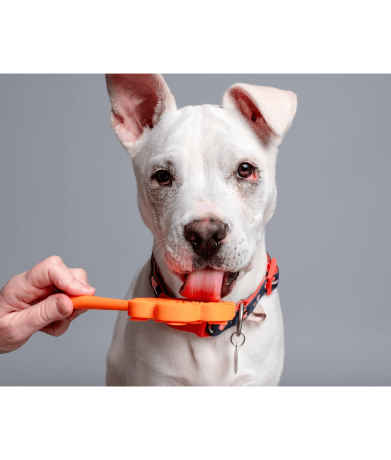 Spunky Pup - Cone Lick Pops, Food-Grade Silicone Licking Mat with Handle for Dogs & Cats