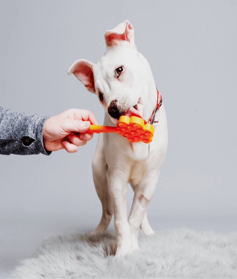 Spunky Pup - Cone Lick Pops, Food-Grade Silicone Licking Mat with Handle for Dogs & Cats