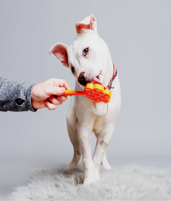 Spunky Pup - Cone Lick Pops, Food-Grade Silicone Licking Mat with Handle for Dogs & Cats