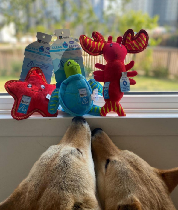 Spunky Pup - Starfish Clean Earth Plush Textured, Recycled Materials, Sustainable Floating Squeaky Dog Toy - Small