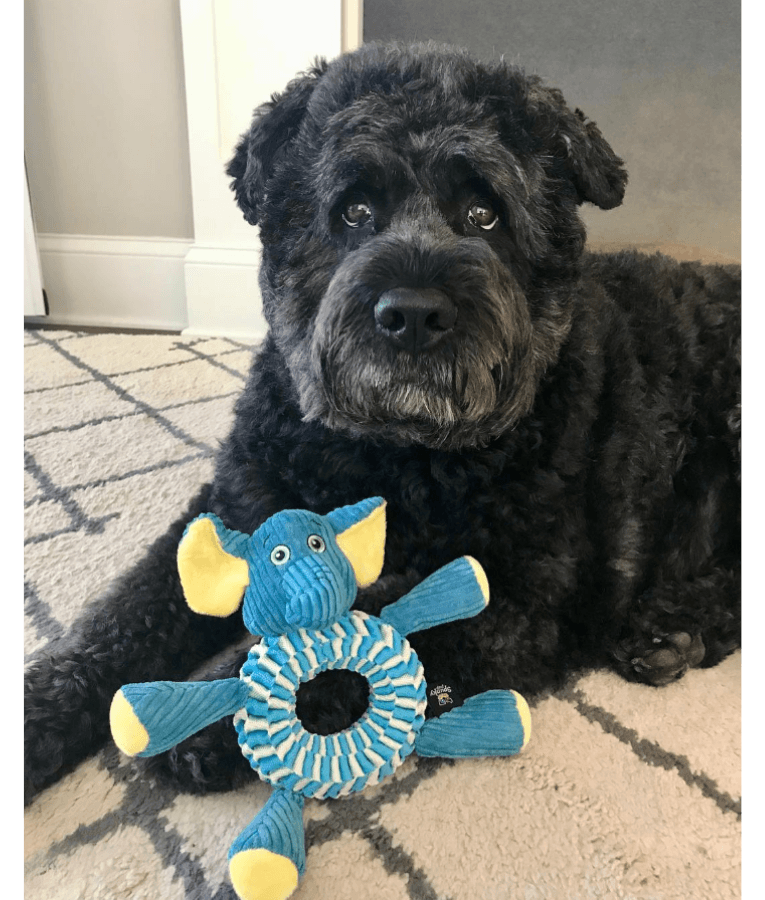 Spunky Pup - Wibbleez Round Elephant, Stretch & Squeak Plush Dog Toy