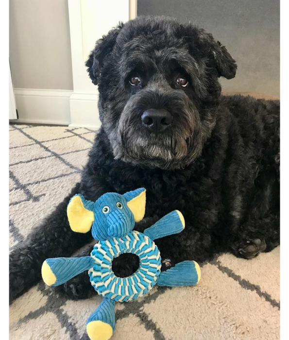Spunky Pup - Wibbleez Round Elephant, Stretch & Squeak Plush Dog Toy