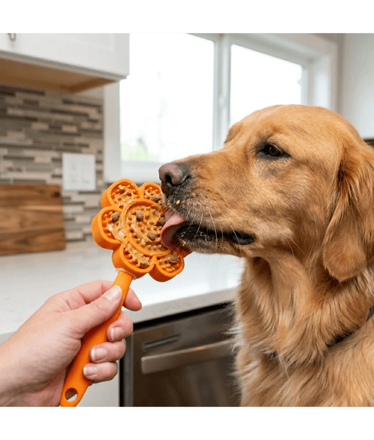 Spunky Pup - Cone Lick Pops, Food-Grade Silicone Licking Mat with Handle for Dogs & Cats