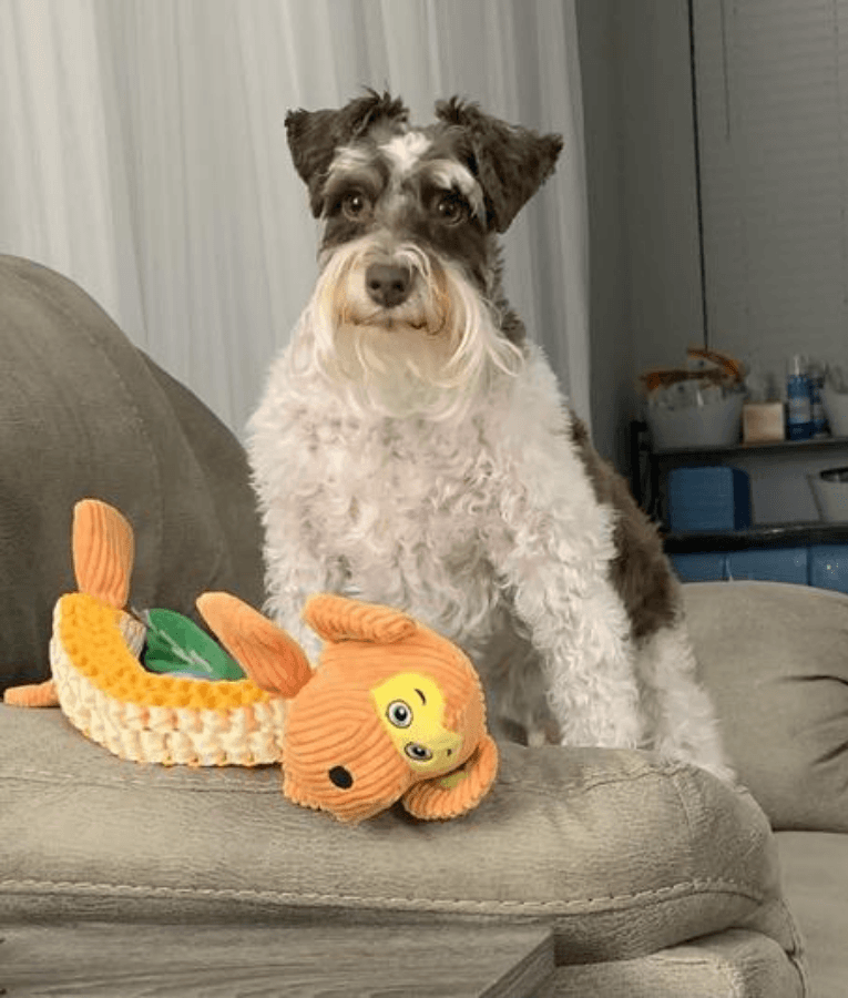Spunky Pup - Wibbleez Straight Monkey, Stretch & Squeak Plush Dog Toy