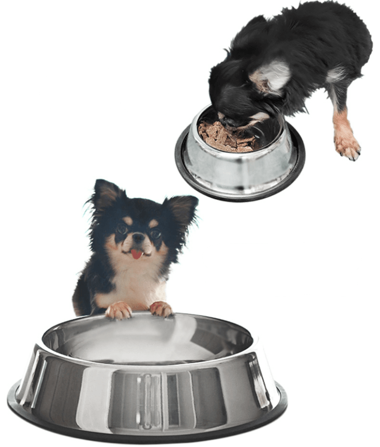 M-Pets Crock Stainless Steel Bowl