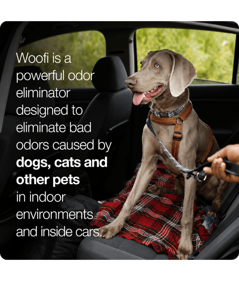 Errecom - Woofi Pet Odour Remover Spray, Safe for Dogs & Cats, Multi-Surface Cleaning - 500 ml