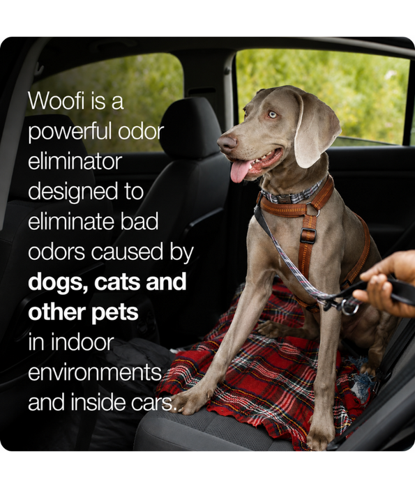 Errecom - Woofi Pet Odour Remover Spray, Safe for Dogs & Cats, Multi-Surface Cleaning - 500 ml