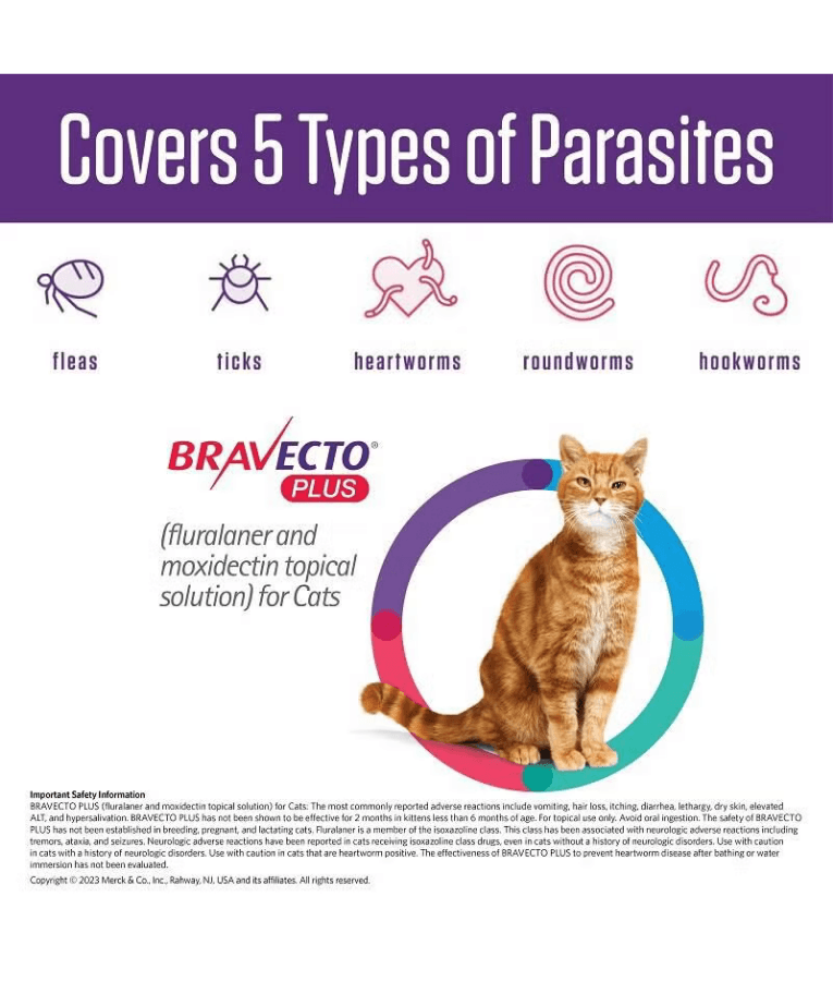 Bravecto Plus - Fluralaner & Moxidectin Spot-On Solution for Medium Cats, Tick, Flea & Worm Protection - 2.8–6.25 kg