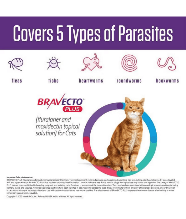 Bravecto Plus - Fluralaner & Moxidectin Spot-On Solution for Medium Cats, Tick, Flea & Worm Protection - 2.8–6.25 kg
