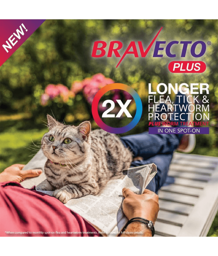 Bravecto Plus - Fluralaner & Moxidectin Spot-On Solution for Medium Cats, Tick, Flea & Worm Protection - 2.8–6.25 kg