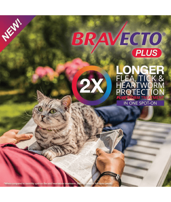Bravecto Plus - Fluralaner & Moxidectin Spot-On Solution for Medium Cats, Tick, Flea & Worm Protection - 2.8–6.25 kg