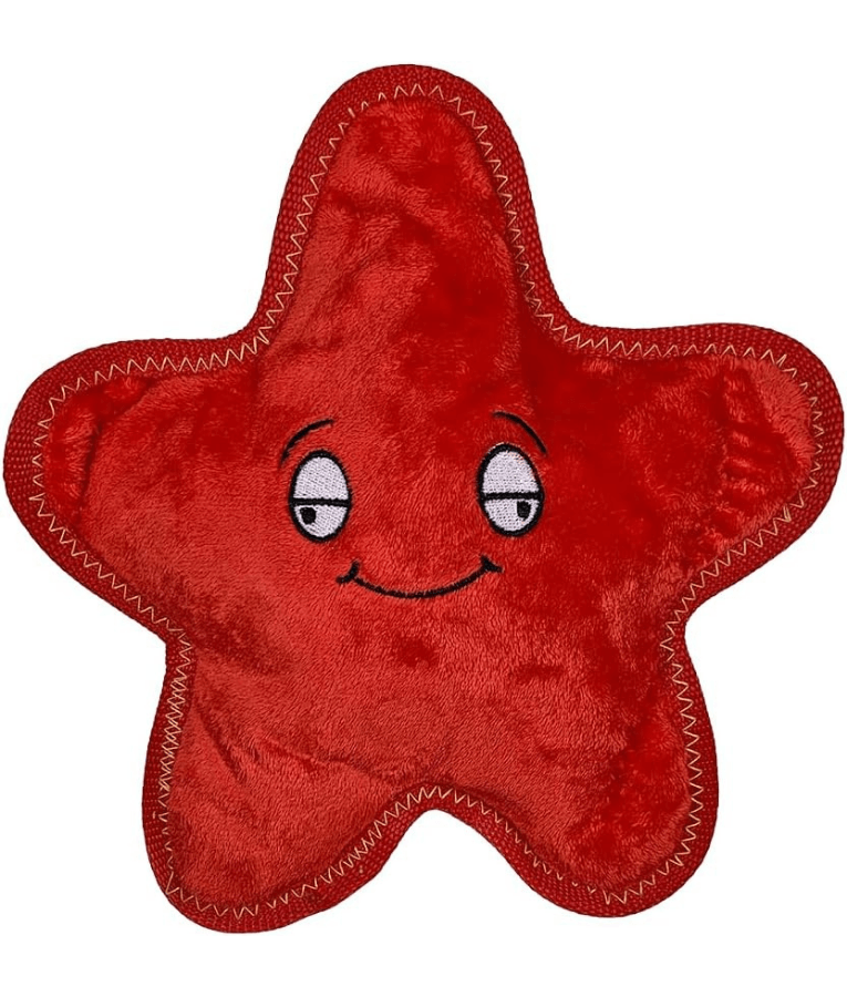 Spunky Pup - Starfish Clean Earth Plush Textured, Recycled Materials, Sustainable Floating Squeaky Dog Toy - Small