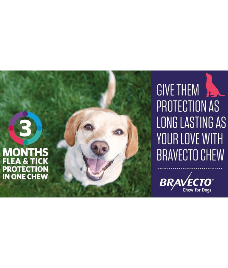 Bravecto Chewable Tablets, Tick & Flea Protection - 10-20 kg