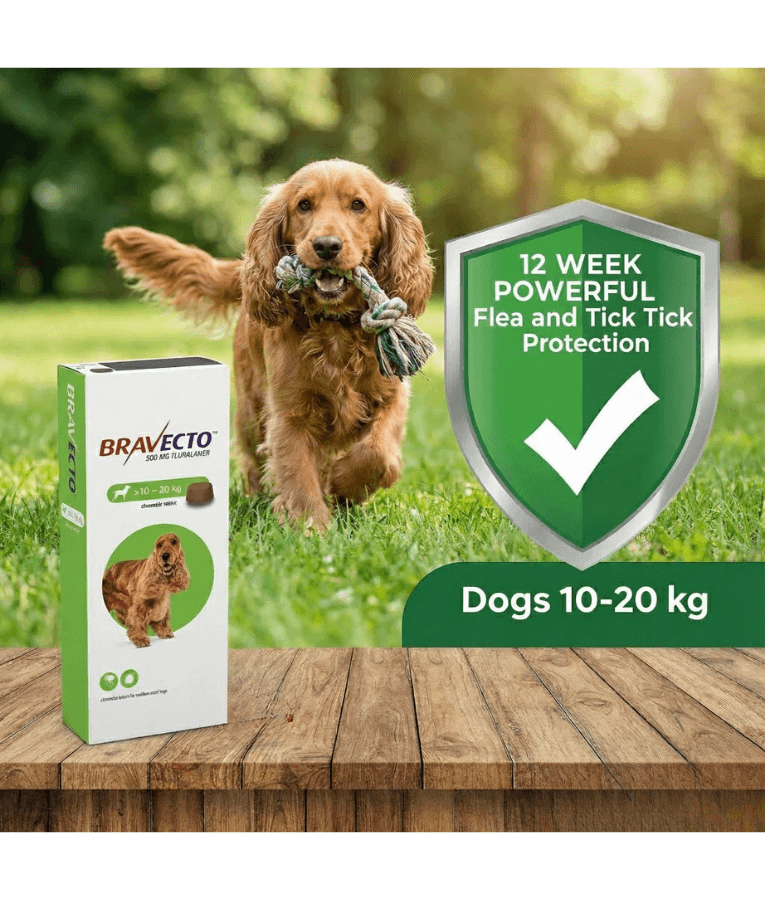 Bravecto Chewable Tablets, Tick & Flea Protection - 10-20 kg