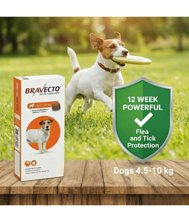 Bravecto 250mg Fluralaner, Tick & Flea Protection - 4.5-10 KG