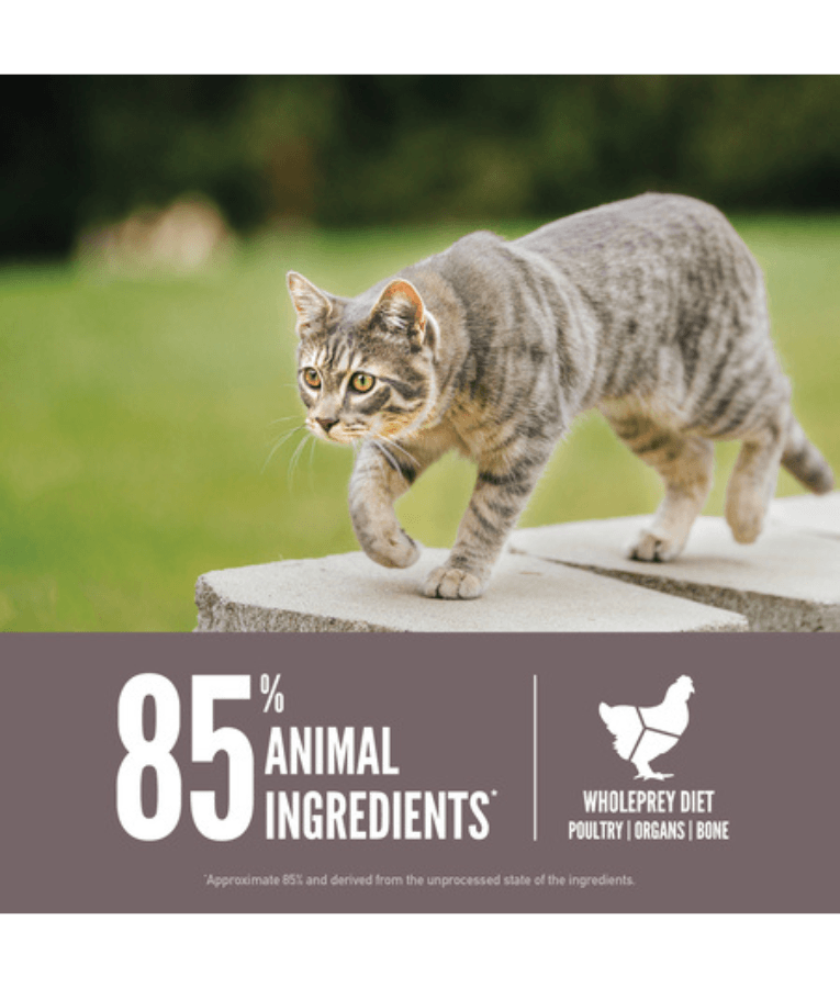 Orijen - Fit & Trim, Chicken, Turkey & Fish, High-Protein, Grain-Free, Weight Management, Adult Dry Cat Food - 340g - 1.8kg - 5.4kg