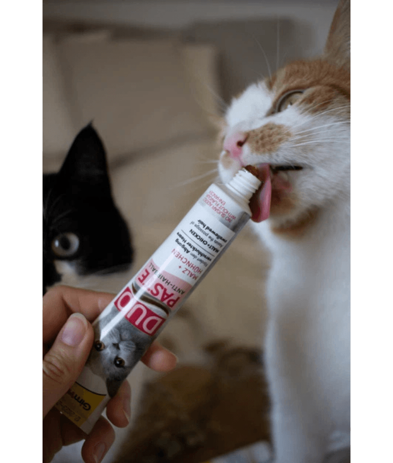 GimCat - Anti-Hairball Duo Paste, Malt & Chicken, Hairball Control, Digestive Support, All Life Stages - 50g