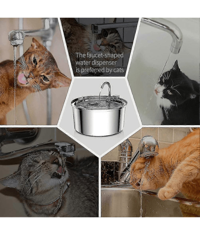 Stainless Steel Pet Water Fountain, 3.2L Capacity, Ultra-Quiet Pump, Double Filtration, Automatic Pet Water Dispenser USB Powered