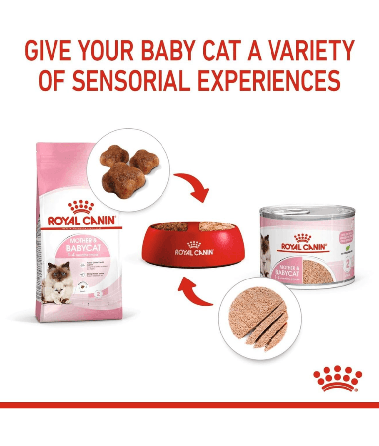 Royal Canin - Mother and Babycat Ultra Soft Mousse 195g