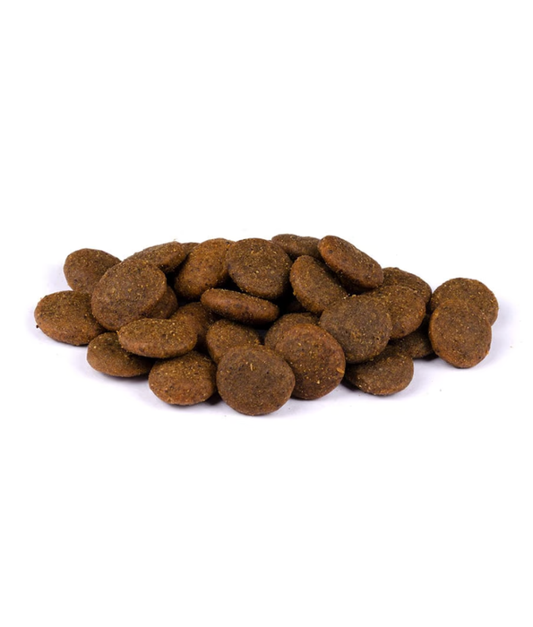 Carnilove True Fresh - Fresh Fish with Chickpeas and Apples, for Adult Medium and Large Breeds - 11.4 kg