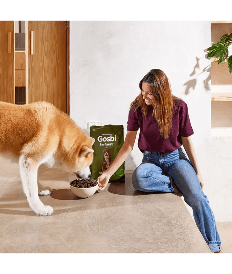 Gosbi - Exclusive, Hypoallergenic Lamb Adult Dry Dog Food For Large Breeds 3kg-12kg