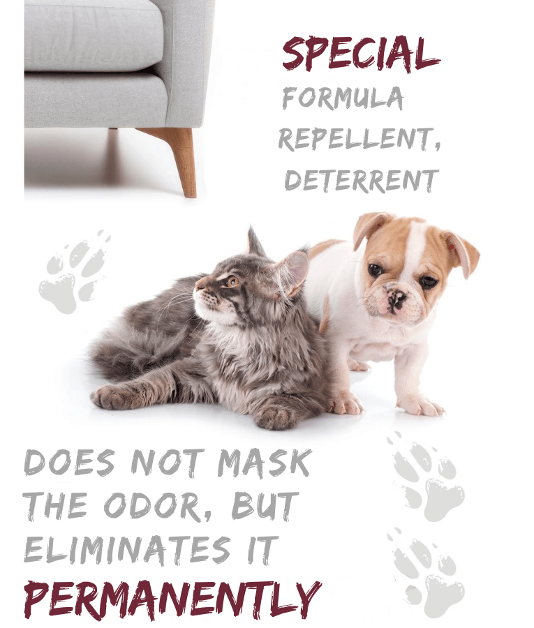 Errecom - UKLIN Urine Odour Remover Detergent Spray, Pet Safe Formula, Disinfectant-Based Odor Neutralizer - 500 ml