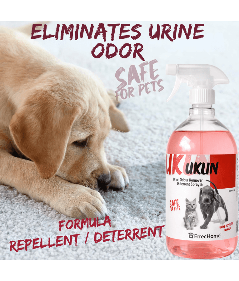Errecom - UKLIN Urine Odour Remover Detergent Spray, Pet Safe Formula, Disinfectant-Based Odor Neutralizer - 500 ml