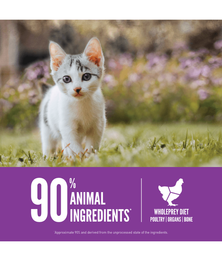 Orijen - Kitten Formula, Chicken, Turkey & Salmon, High-Protein, Grain-Free, WholePrey, Kitten Dry Cat Food - 340g - 1.8kg