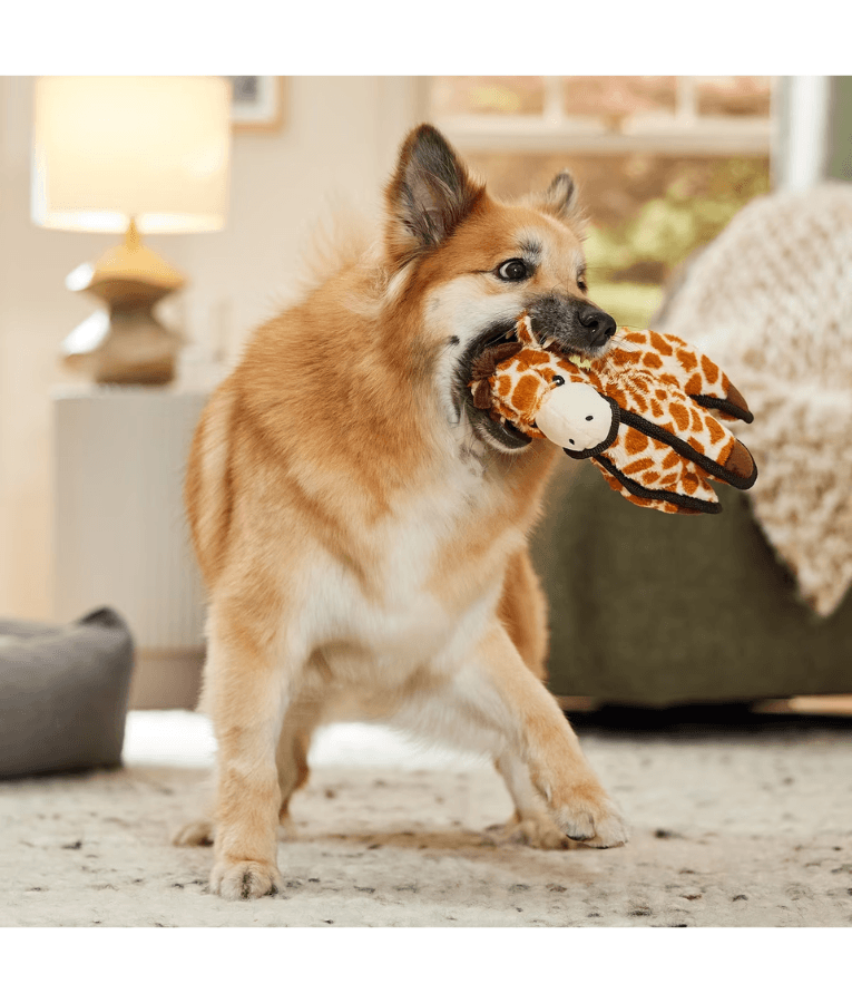 Spunky Pup - Tough Plush Giraffe Toy, Triple Stitch Durable Squeaky