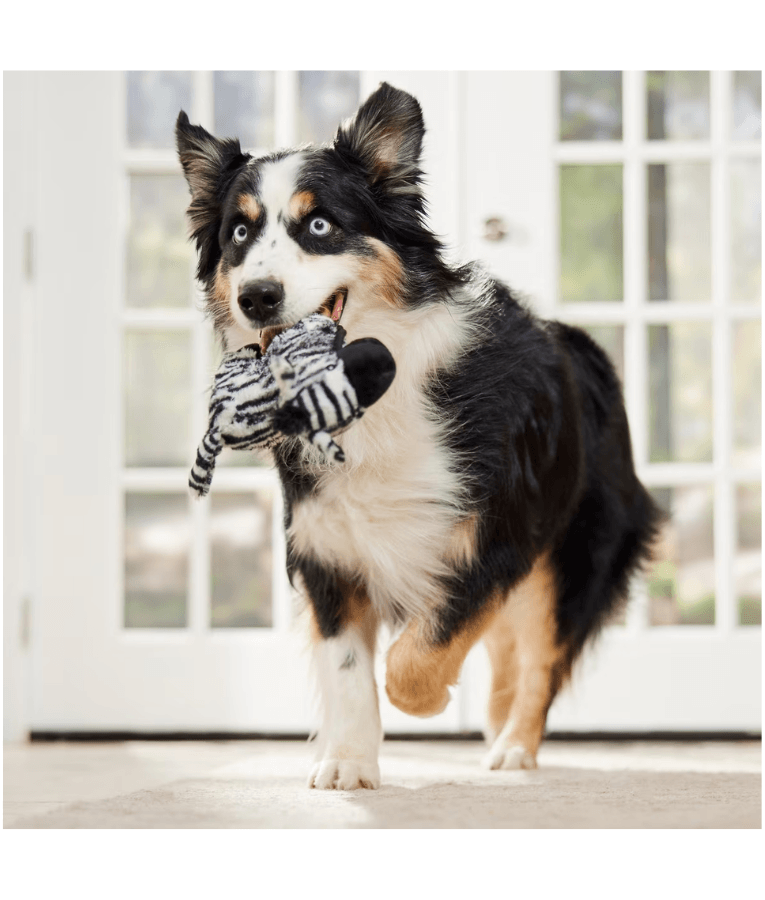 Spunky Pup - Tough Plush Zebra Toy, Triple Stitch Durable Squeaky
