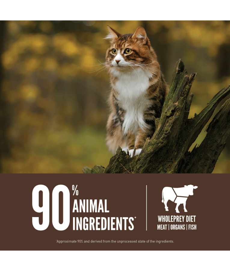 Orijen - Regional Red, Beef, Wild Boar & Lamb, High-Protein, Grain-Free, WholePrey, Adult & Senior Dry Cat Food - 340g - 1.8kg - 5.4kg